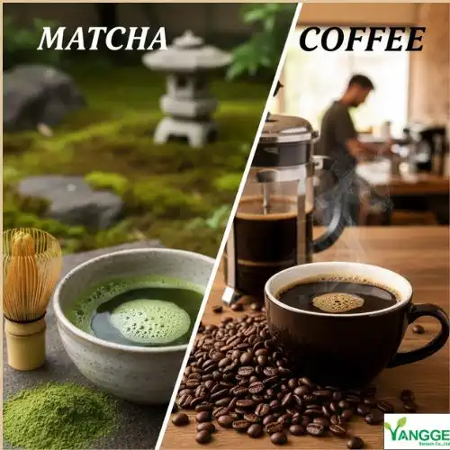 Matcha vs. Coffee: Which Boosts Energy Better?